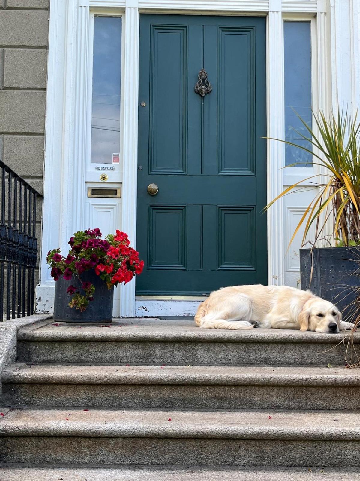 Dun Laoghaire Coastal Retreat & Hidden Getaway Dublín Exterior foto